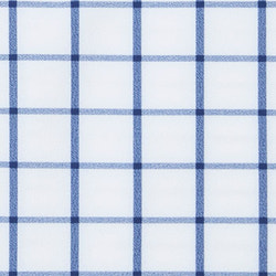 Leeward Dress Shirt swatch