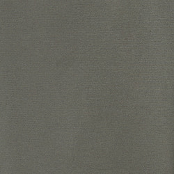 Mayfield 5 Pocket Pant swatch