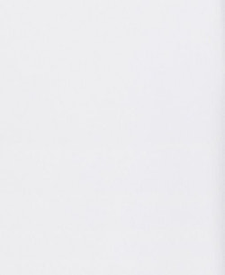 Leeward Dress Shirt swatch