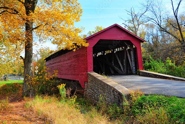 D.C. Metro Area (Bethesda)