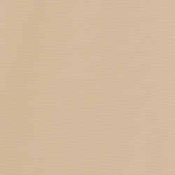 Deck Shorts swatch