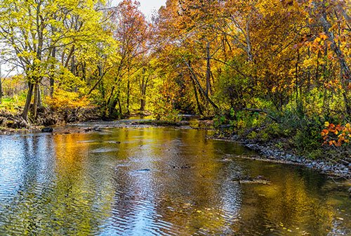 D.C. Metro Area (Reston)