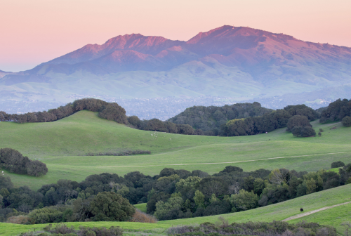 Lafayette, California